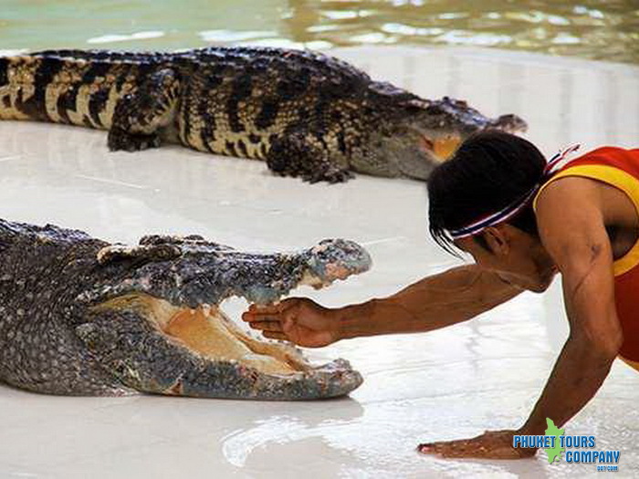 Phuket Crocodile World